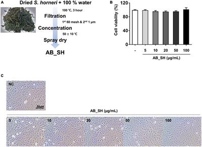 Inhibitory effect of fucoidan on TNF-α-induced inflammation in human retinal pigment epithelium cells